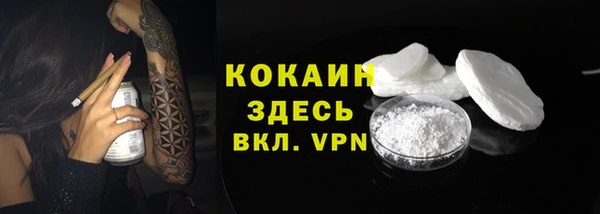 дурь Бородино