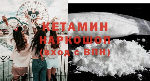 дурь Бородино