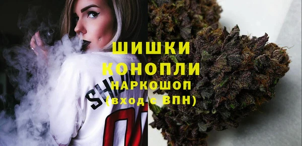 дурь Бородино